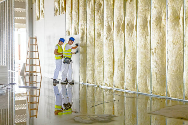 Best Geographic-Specific Insulation Services in Chinook, MT